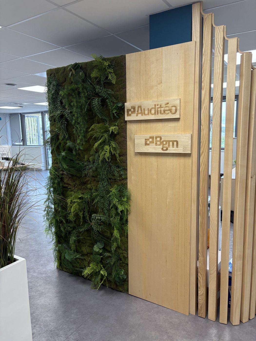 Entrée des bureaux : mur végétal et panneau bois aux logos Auditéo et BGM